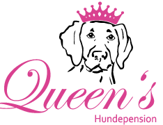 Quenns Hundepension